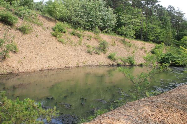 Pond Erosion Repair in Pittsburgh
