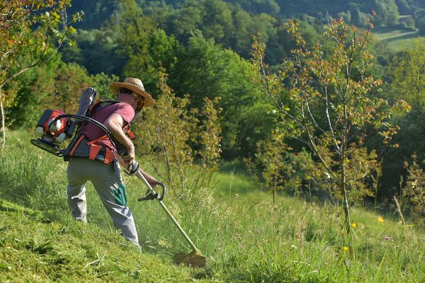 Cost of Slope Trimming in Pittsburgh