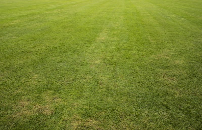 Topsoil Installation detail